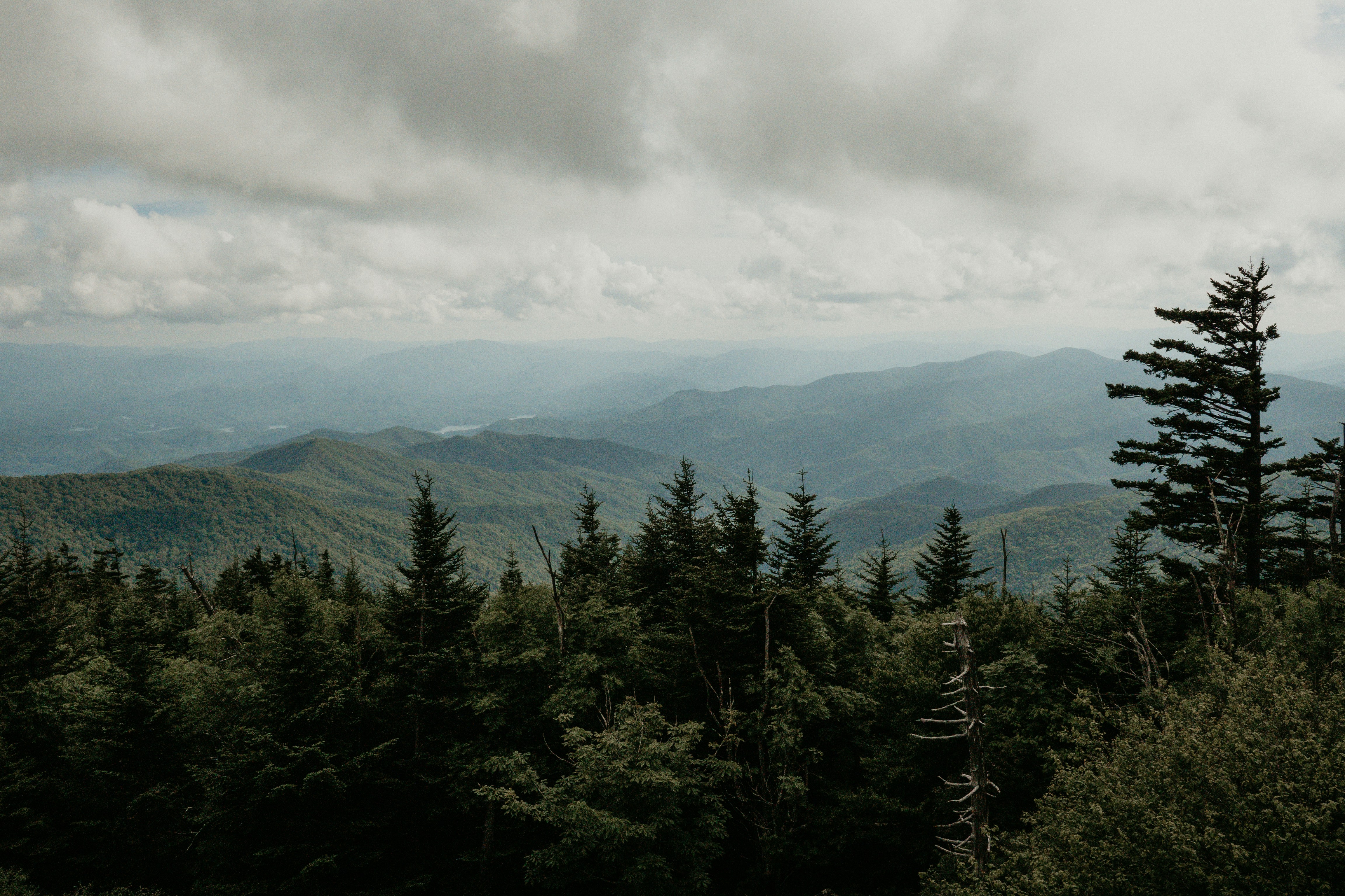 Gatlinburg wilderness